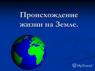 История развития жизни на земле реферат по биологии | Сочинения Биология |  Docsity