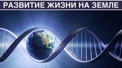 Очень краткая история жизни на Земле: 4,6 миллиарда лет в 12 лаконичных  главах, Генри Джи – скачать книгу fb2, epub, pdf на ЛитРес