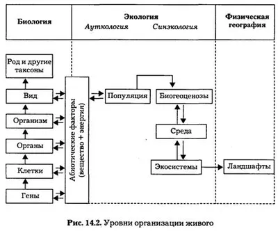 Гипотеза ученых о происхождении жизни на Земле: кто-то нас придумал —   — Секретные материалы на РЕН ТВ