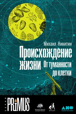 Место происхождения жизни, «первичный бульон», пицца и майонез -  Антропогенез.РУ