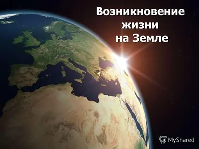 Био: Основные этапы развития жизни на Земле