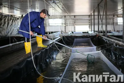 Норникель» увеличил производство меди и металлов платиновой группы