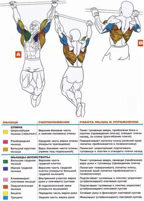 Супер тело с фулбоди тренировкой для опытных | Bodymaster О спорте и  фитнесе | Дзен