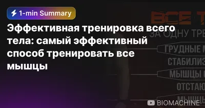 Программа для всего тела, для любого уровня