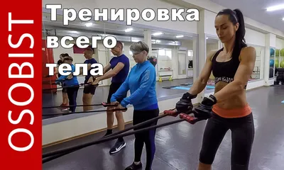 Тренировка всего тела. Упражнения с кольцами и резинкой | OSOBIST | Дзен