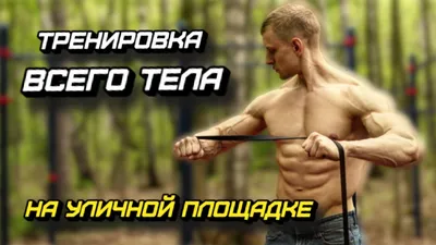 ТРЕНИРОВКА ВСЕГО ТЕЛА на УЛИЧНОЙ ПЛОЩАДКЕ. - YouTube