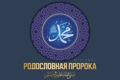 5 важных советов Пророка Мухаммада ﷺ женщинам | 