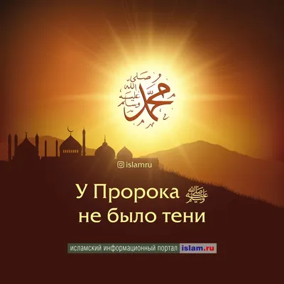 Бесподобные поступки Пророка Мухаммада ﷺ | 