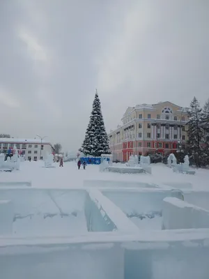 Прощай январь… | Заражённый совестью | Дзен