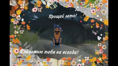 Прощай, лето, здравствуй, школа! | Барнаульский зоопарк «Лесная сказка»