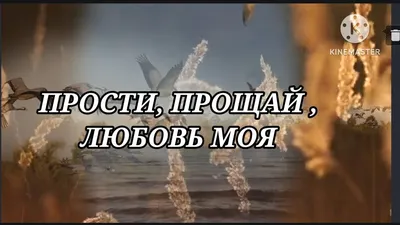 Прощай, любовь моя, прощай, мне нужен отдых – коснуться крепкого плеча,  послушать оды... Пусть не зацепит так никто, зато заценит. Я… | Instagram