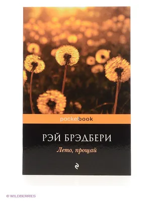 Лето, прощай Эксмо 2350122 купить за 197 ₽ в интернет-магазине Wildberries