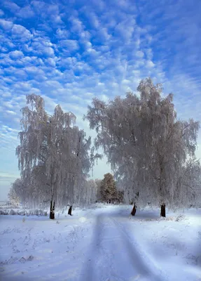 20 самых крутых фотографий этой зимы, которые стоит посмотреть на прощание  | Winter landscape, Winter scenery, Winter pictures