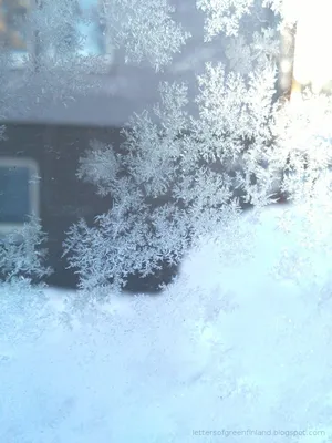 Письма из Зелёной Финляндии: [Фотопост] Прощание с зимой. Bye Bye, Winter!