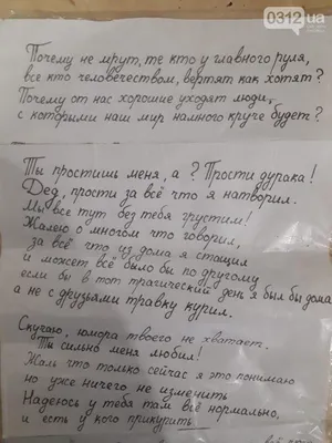 Открытка с именем Оксана Прости меня коты на ветке любовь. Открытки на  каждый день с именами и пожеланиями.