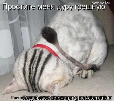 Котоматрица: Вася, прости меня дуру грешную!!!