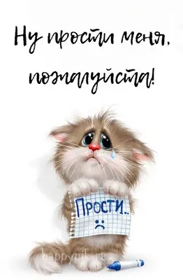 Картинки Прости. Более 60 открыток с извинениями с надписями. | Смешные  фотографии кошек, Смешные котята, Веселые картинки
