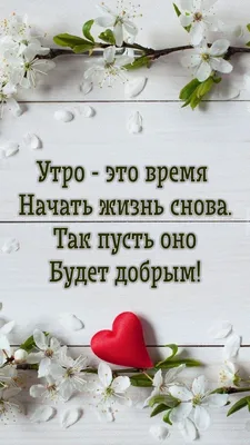 Топ 30 лучших цитат и мудрых высказываний о жизни со смыслом | Глоток  Мотивации | Дзен