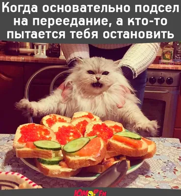 просто так,для настроения))