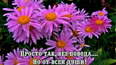 Порою Жизнь нас встряхивает круто ~ Открытка (плейкаст)