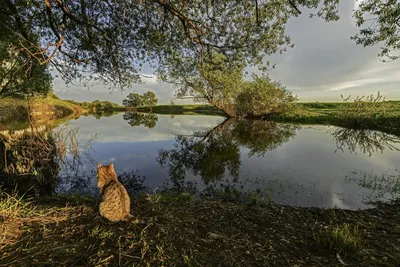 Не было печали, просто уходило лето.... Фотограф Колова Валентина