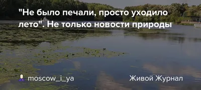 Не было печали просто уходило лето» — создано в Шедевруме