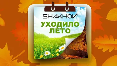 Не было печали просто уходило лето» — создано в Шедевруме