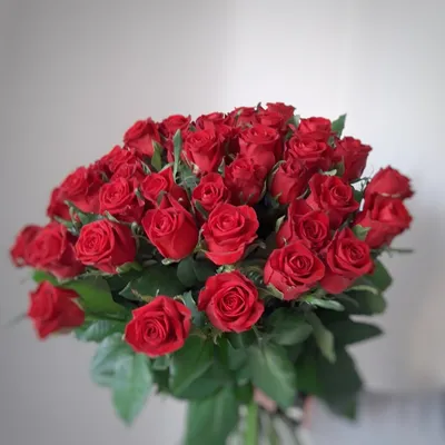 Просто Цветы, доставка цветов и букетов, ул. Глаголева, 4, Калуга — Яндекс  Карты