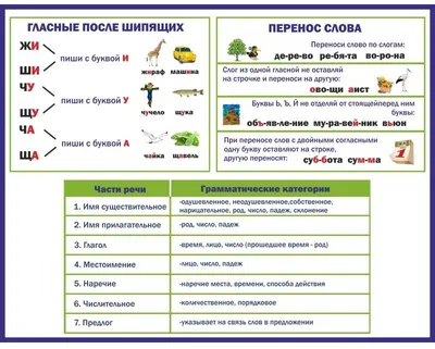 Правила русского языка, которые мы не можем запомнить: как решить эту  проблему?