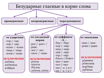 №5 ОГЭ по русскому языку: необходимые правила и простые подсказки | Русский  и Литература | Дзен