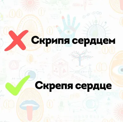 Кто боится сложностей русского языка? Простые объяснения Издательство Манн,  Иванов и Фербер 102202808 купить за 467 ₽ в интернет-магазине Wildberries