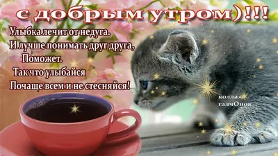 Позитивные картинки "С Добрым Утром!" (377 шт.)