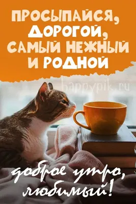 Картинки любимому мужчине "С добрым утром" ☀️⏰ (119 шт.) | Доброе утро,  Картинки, Открытки