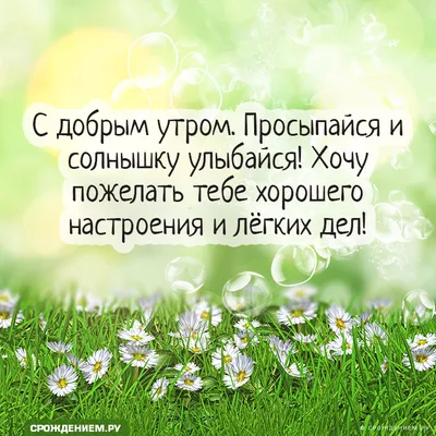 Картинка: "С Добрым утром. Просыпайся и солнышку улыбайся!" • Аудио от  Путина, голосовые, музыкальные