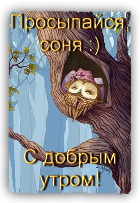 Картинка: "Лето, красота, жара! Просыпайся соня!" • Аудио от Путина,  голосовые, музыкальные