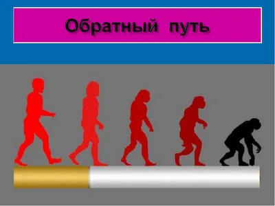 Здоровый образ жизни - Управление по образованию, спорту и туризму  Вилейского райисполкома