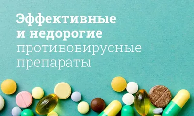 Арбимектин для собак крупных пород, 6 таблеток – купить в Воронеже по цене  интернет-магазина «Две собаки»