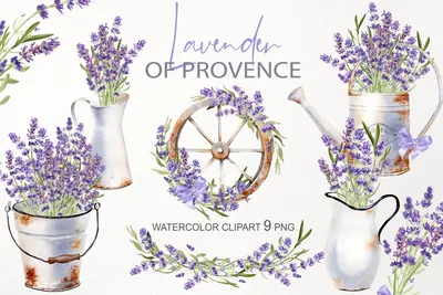 Provence vintage font | Free download