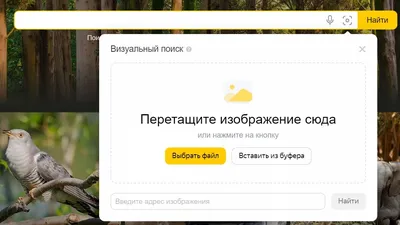 Как проверить изображение на авторские права | EZYBRAND - Товарные знаки и  патенты | Дзен