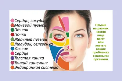 Китайская карта лица ➤ Публикация ⭐ Косметологической Клиники BeautyMED