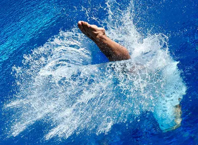 Прыжки в воду - вид водного спорта. Особенности и рекорд | Новости  
