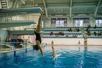 Прыжки в воду - Детям о спорте - Быстрее, выше, сильнее! Вместе с Хрюшей и  Выпуск 19 - YouTube
