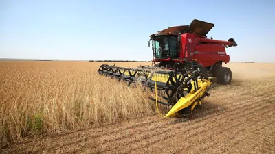 Казахстан экспортировал 2 млн тонн пшеницы и меслина в I квартале - новости  
