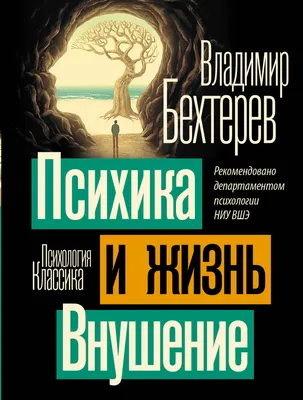 Как формируется детская психика и почему важно уделять ей внимание |  