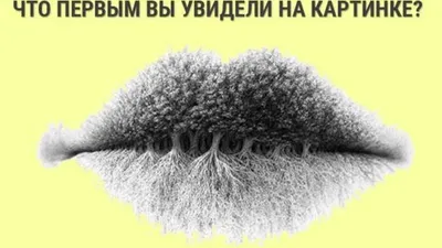 Какое ваше сокровенное желание – пройдите психологический тест по картинке  - Развлечения