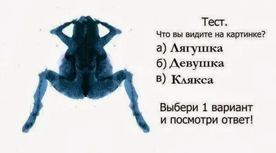 6 самых необычных картин-иллюзий. А что видите вы? | Конкурсы и тесты |  Аргументы и Факты