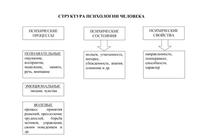 Психология человека в 16 остросюжетных фильмах - ПГУ им. Т.Г. Шевченко