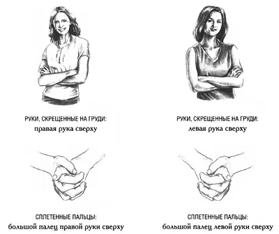 Язык жестов: психология в популярном формате — 