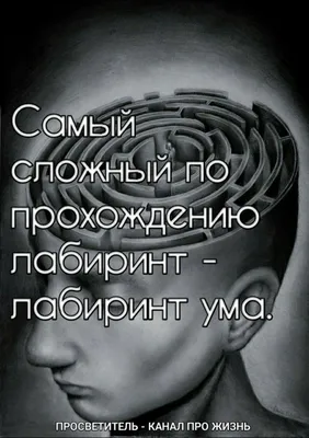 Идеи на тему «Психологические картинки со смыслом» (100) | цитаты, мысли,  мудрость