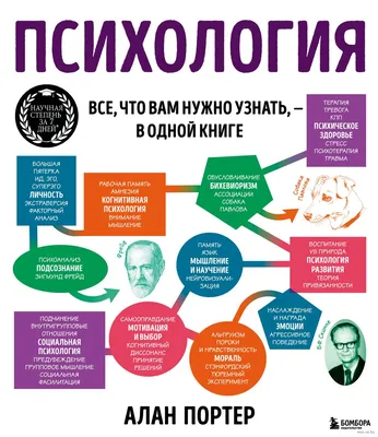 Психология. Всё, что вам нужно знать, – в одной книге» Алан Портер - купить  книгу «Психология. Всё, что вам нужно знать, – в одной книге» в Минске —  Издательство Бомбора на 